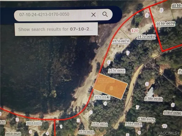 0 Unassigned Crst, Interlachen, FL 32148