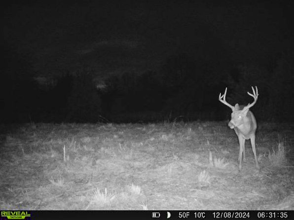 Red Bud Rd, Sturkie, AR 72578