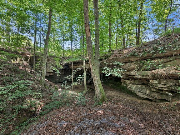 4th image of 368 County Road 193