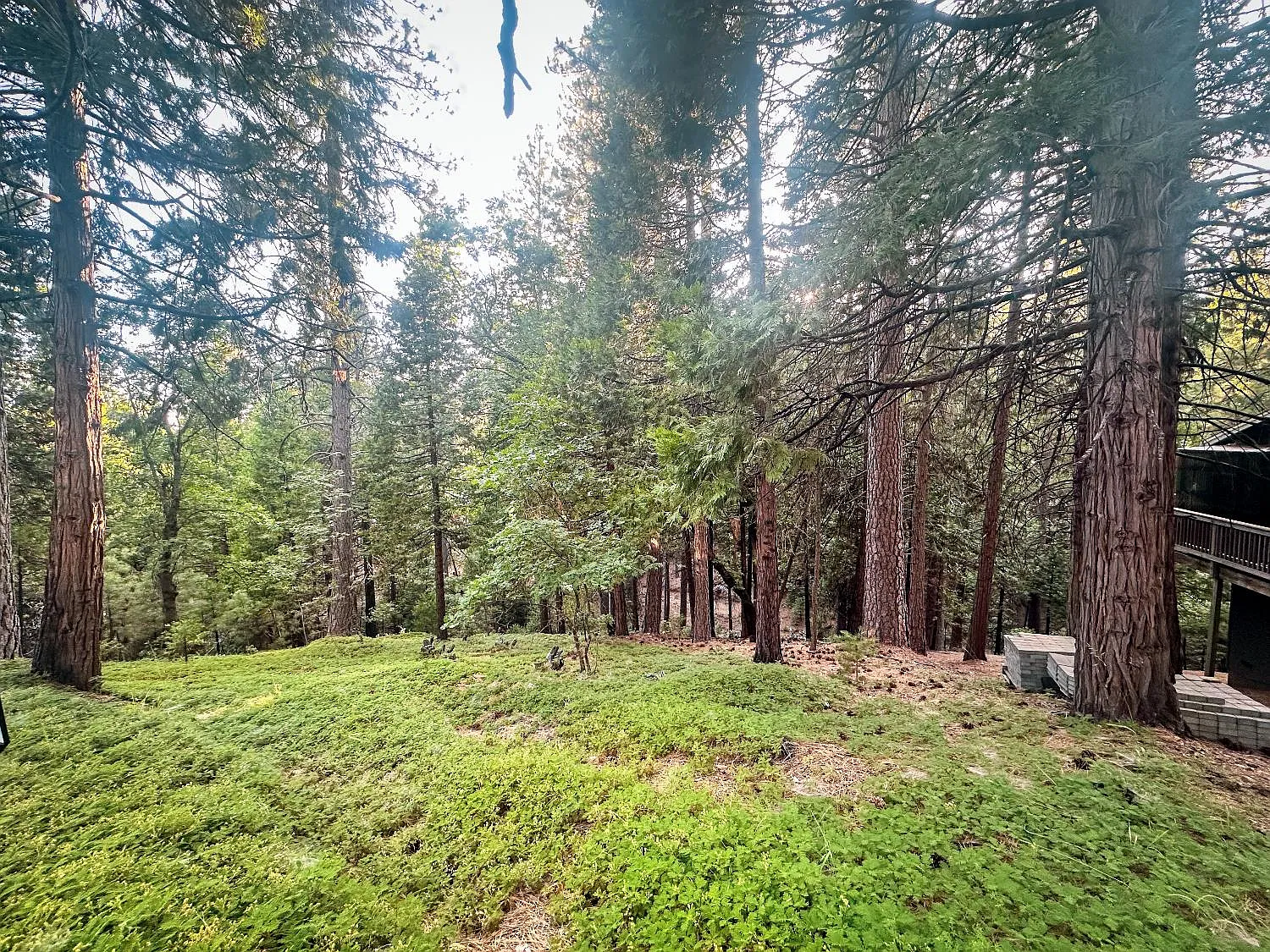 1800 Kit Carson Cir photo 1