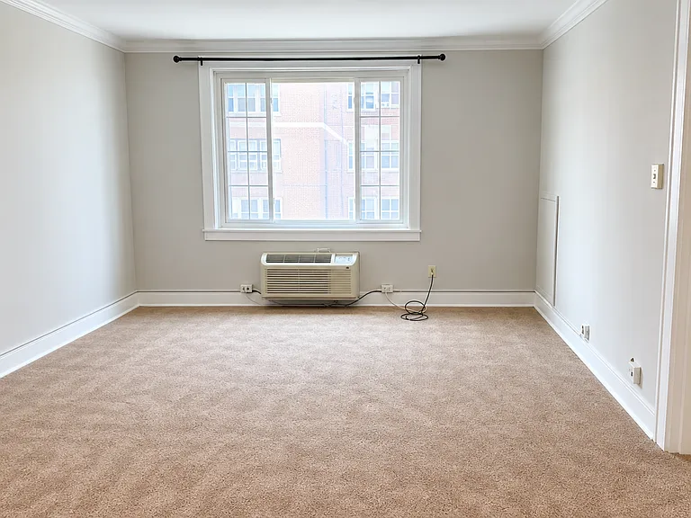 Carpeted Studio