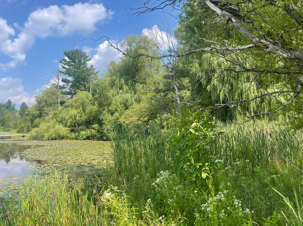 8337 Lake Lure Dr, Evart, MI 49631