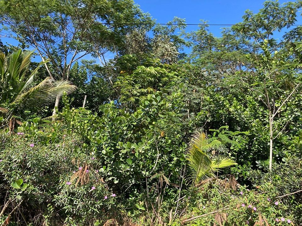 2nd image of 4th Avenue Awapuhi Lot 2559
