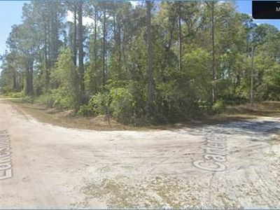 541 Carteret Rd #1, Georgetown, FL, 32139