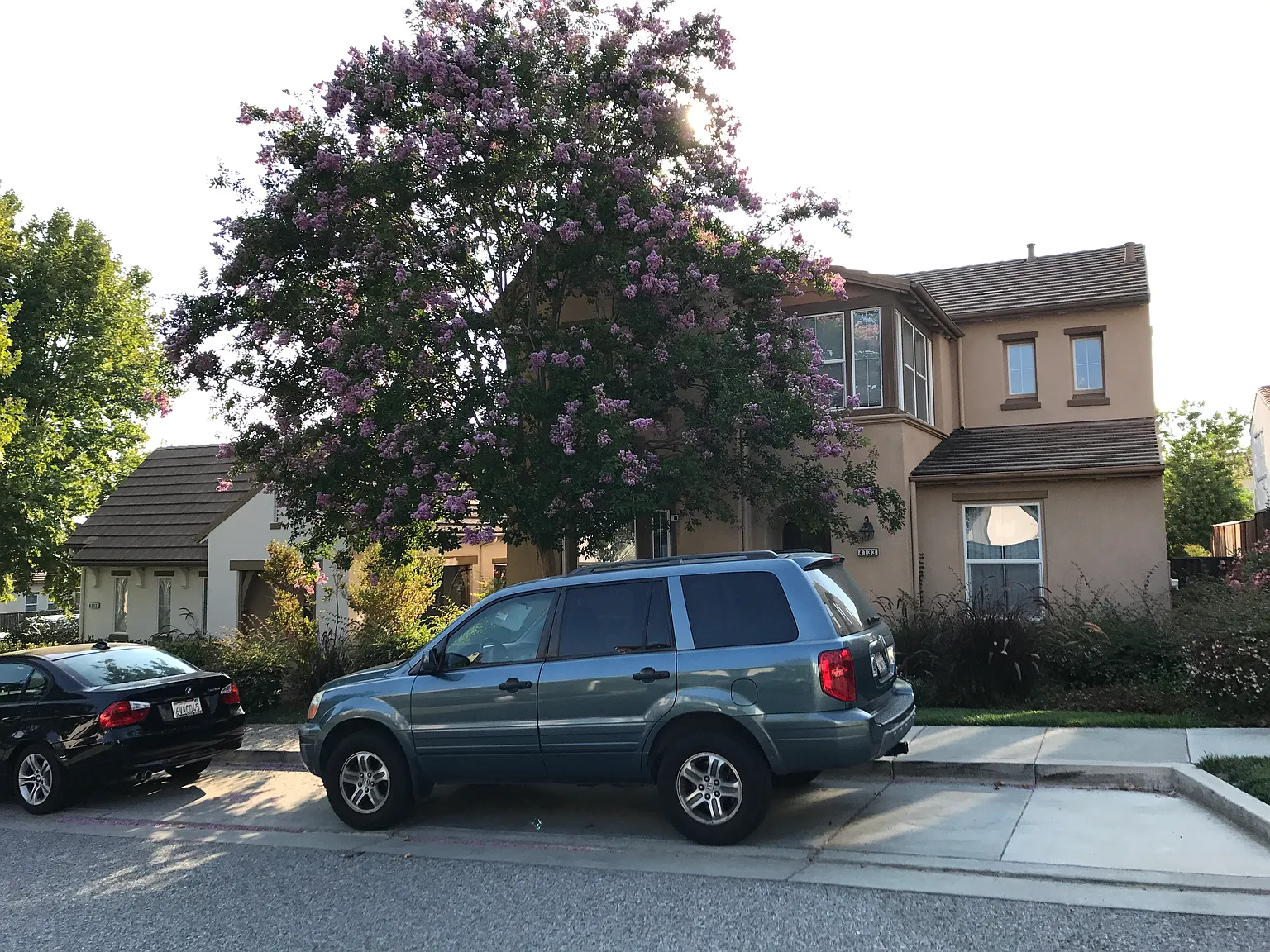 4133 Horizon Ln photo 1