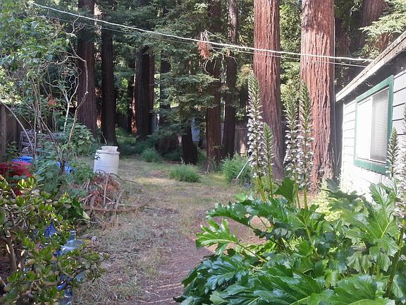3rd image of 10926 Sequoia Ave
