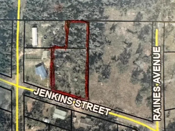 7870 Jenkins St, Sneads, FL 32460