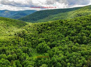 Peck Hollow Rd, Shandaken, NY 12480