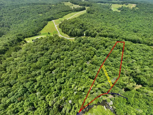 0 Hemlock Bluff Way Lot 15, Deer Lodge, TN 37726