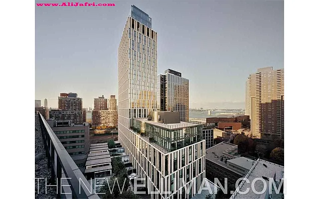 Rented by Douglas Elliman | media 15
