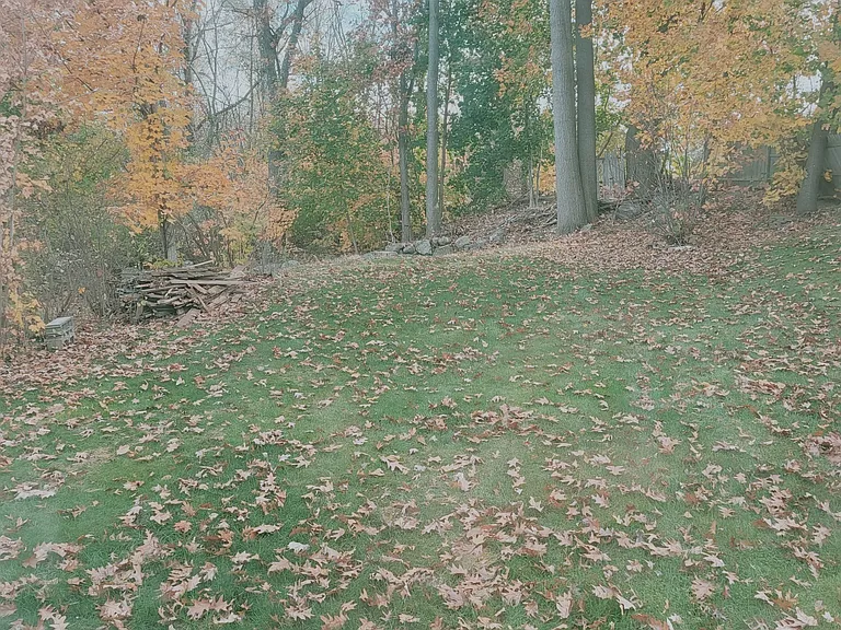 141 Greenwood Ct — Photo 12