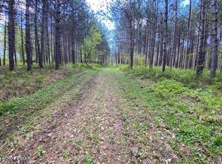 Dixon Valley Rd., Pleasant Mount, PA 18453