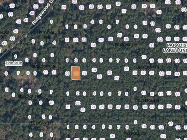 302 Siesta Dr Lot 22, Georgetown, FL 32139