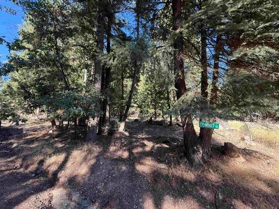 2683 Greenhorn Ranch Rd, Quincy, CA, 95971