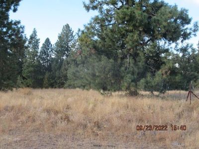 31001 S Dover Rd, Cheney, WA, 99004