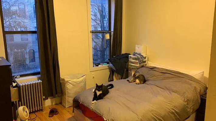 Rented by Nooklyn NYC LLC | media 20