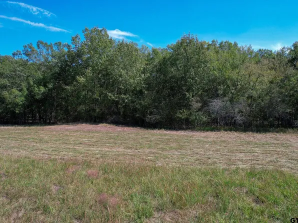 20 Acres Cres #2220, Talco, TX 75487