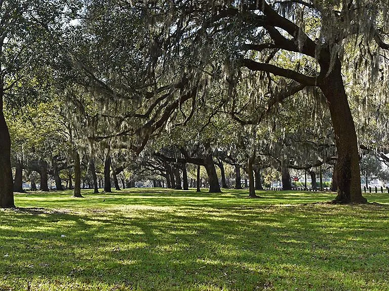 Daffin Park walking distance