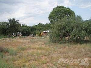 Henry Lane Cottonwood20130705_03