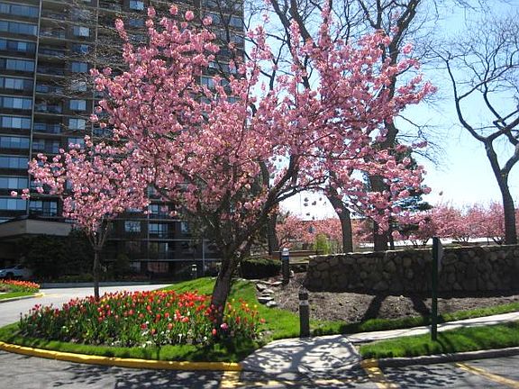 LANDSCAPED GROUNDS OUTDOOR PARK LIKE SITTING AREA