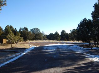 2272 Wright Cir, Overgaard, AZ 85933