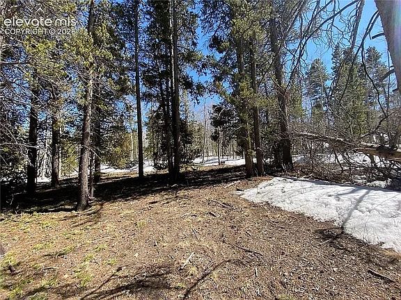 5th image of 2202 High Creek Rd