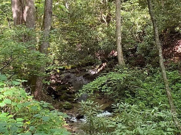 0 Chad Crawford Rd, Sylva, NC 28779