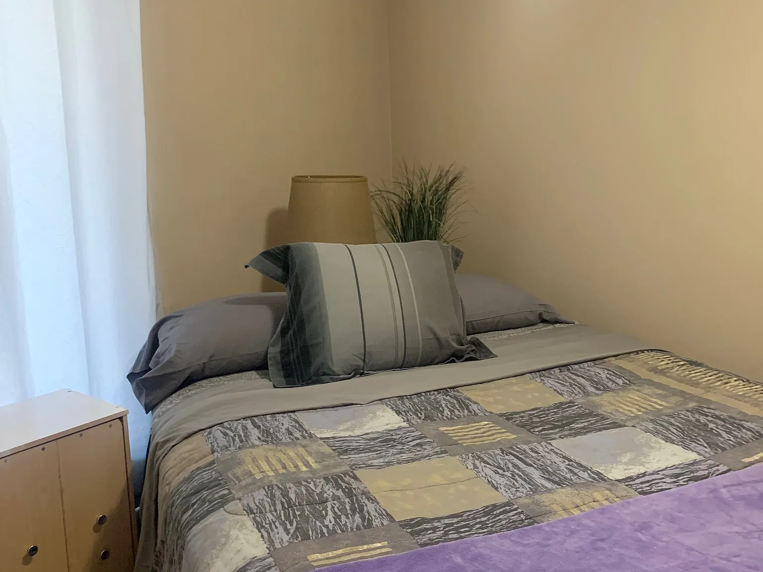 1 bed, 420 sqft, $1,295 — Photo 4