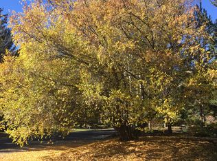 151 Camas Ln, Ketchum, ID 83340