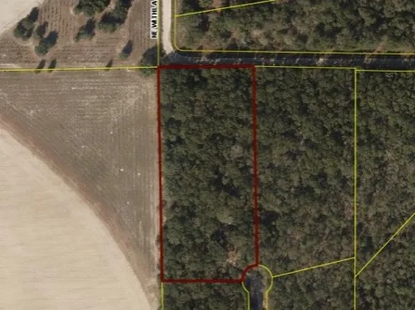 897 NE Withla Bluffs Way, Lee, FL 32059