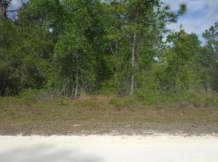 Cedarwood Ave, Weeki wachee, FL 34614