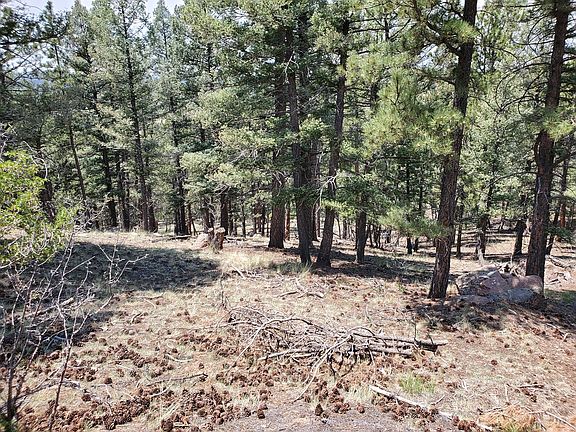 2nd image of 137 Gold Hill Way