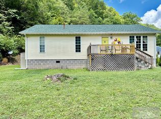 311 Ritter Hollow Rd, Iaeger, WV 24844