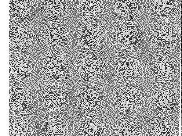 0 Old Chatham Rd #1-2, Martinsville, VA 24112