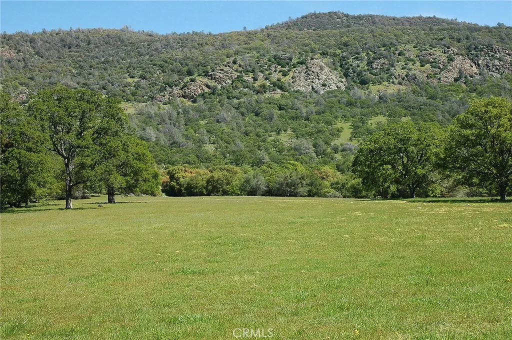 7040 Highway 49 N photo 1