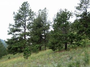 125 Independence Rd, Cripple Creek, CO 80813