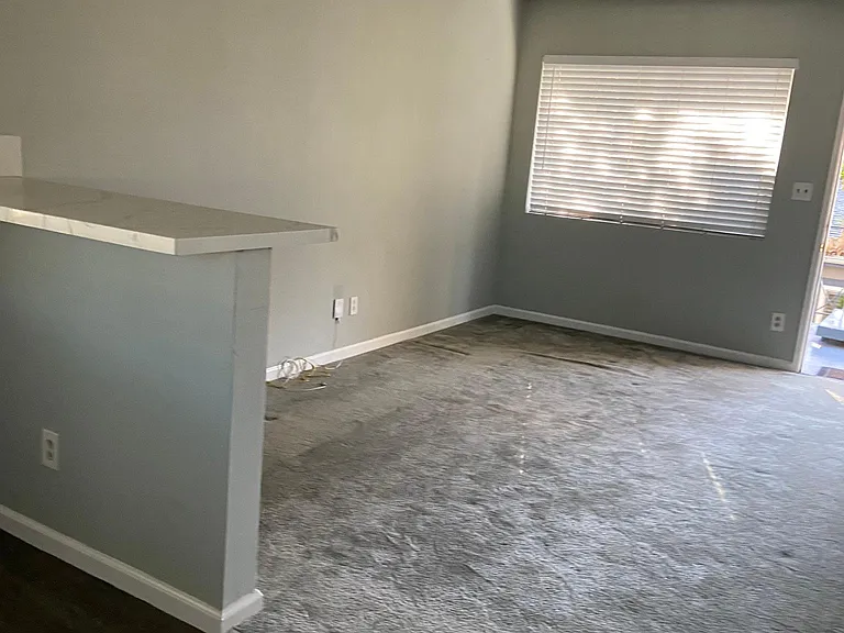 1004 W Spruce St #1004 — Photo 11