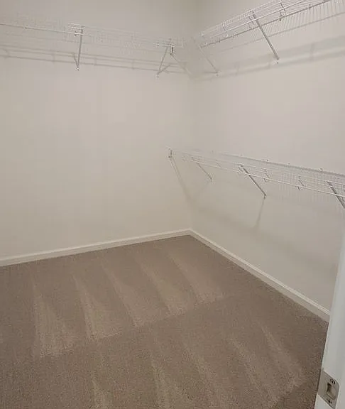 857 Hedgefield Way — Photo 30