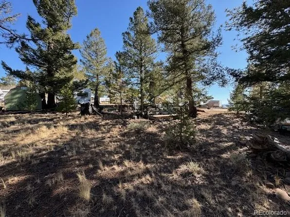 186 Lantern Loop, Hartsel, CO 80449