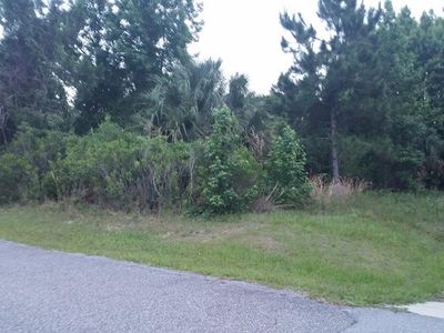 11 Buttonwell Ln, Palm Coast, FL, 32137