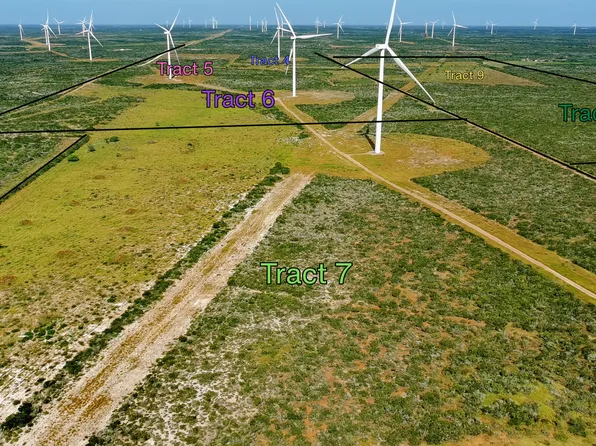 TRACT 7 (50AC) San Pablo Rd, Bruni, TX 78344