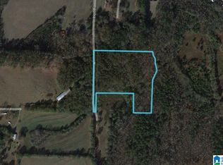 Holt Rd, Blountsville, AL 35031