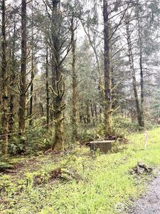 300 Luttrell Lane, Ilwaco, WA, 98624