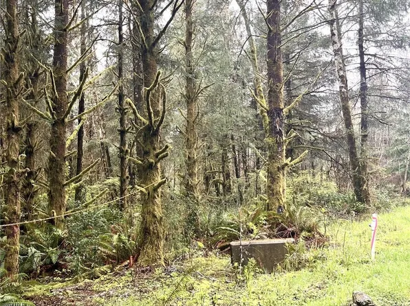 300 Luttrell Lane, Ilwaco, WA 98624