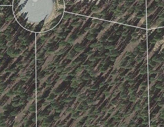 2nd image of 1851 Mountain Pines Ct
