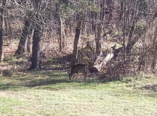 408 Llanfair Rd #2, Windber, PA 15963