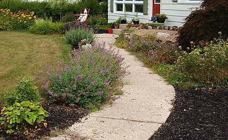 low maintenance landscaping