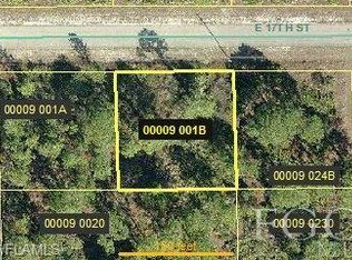 802 E 17th St, Lehigh Acres, FL 33972