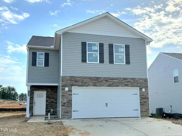 54 Ollie St, Johnson City, TN 37615