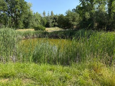 7780 Raven Rd, Redding, CA, 96001